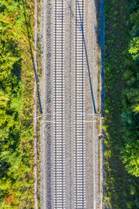 High angle view of road passing through forest