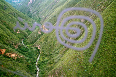 High angle view of plants on land