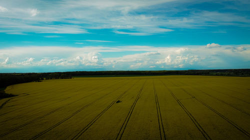 Scenic view of agricultural field against sky