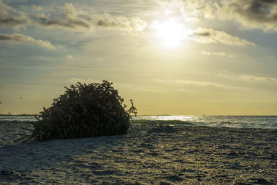 Scenic view of sea against sky at sunset