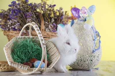 Rabbit and easter decorations on table against wall