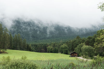 Scenic view of rural landscape with low clouds