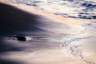 Close-up of waves on beach