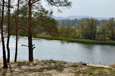 Scenic view of lake in forest against sky