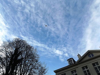 Low angle view of birds flying against sky