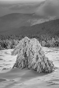 Scenic view of snow covered land against sky