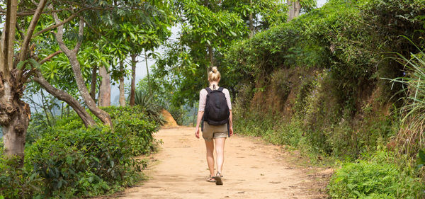 Rear view of woman walking on footpath amidst trees