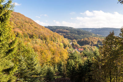 Scenic view of forest against sky during autumn