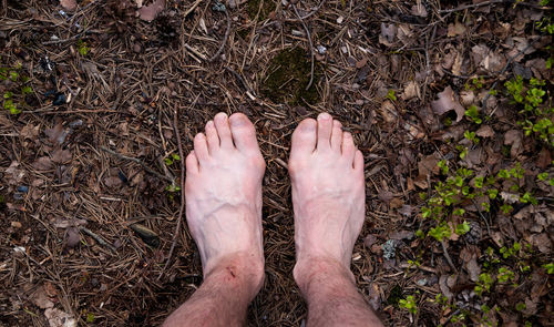 Low section of man standing on ground