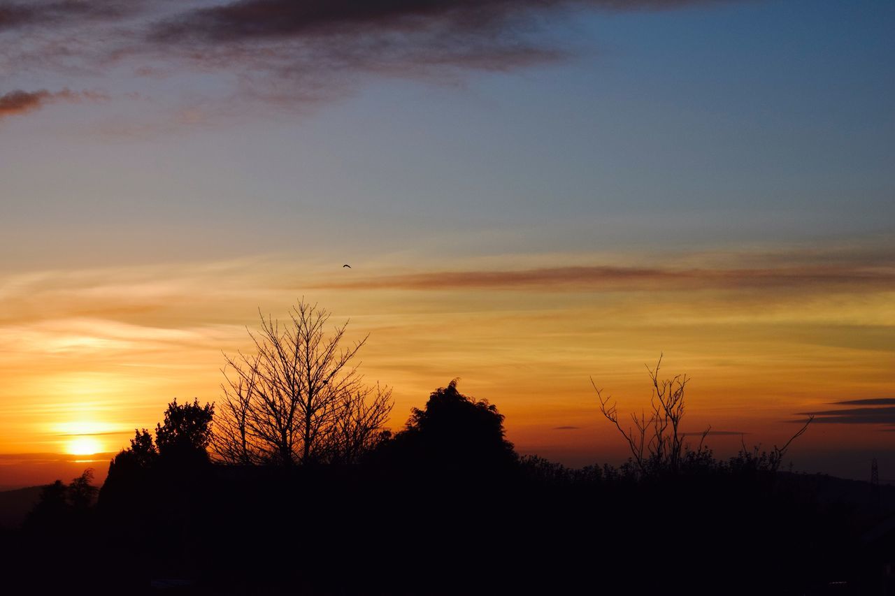 sunset, silhouette, tree, sky, beauty in nature, nature, no people, growth, scenics, cloud - sky, outdoors