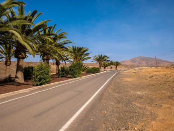 Palm trees by road against blue sky