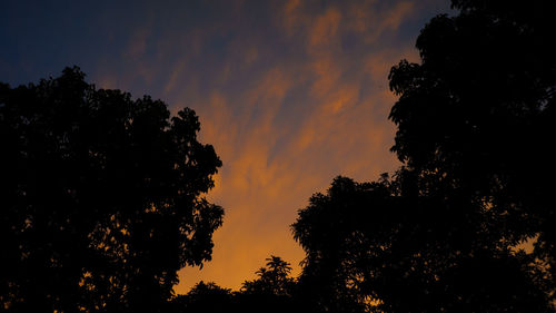 Low angle view of silhouette trees against sky during sunset