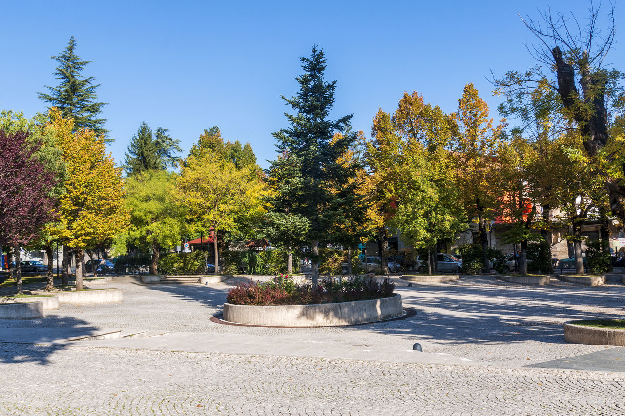 tree, plant, nature, park, sky, sunlight, town square, neighbourhood, clear sky, day, sunny, city, architecture, street, no people, autumn, shadow, outdoors, blue, road, beauty in nature, growth, footpath, travel destinations, transportation, travel, tranquility, leaf