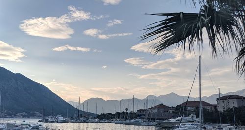 Sailboats in sea against sky