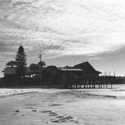 Birds over water against sky