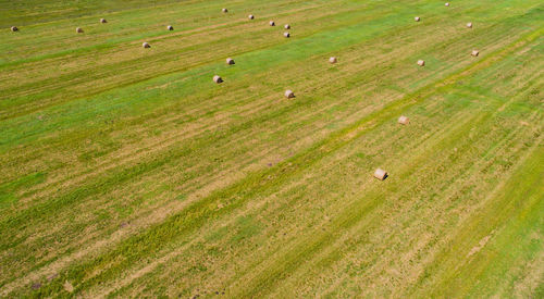 High angle view of hay bales on agricultural field