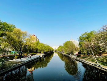 Canal amidst trees against clear blue sky