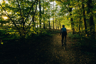 Rear view of man walking in forest