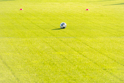 High angle view of golf ball in field