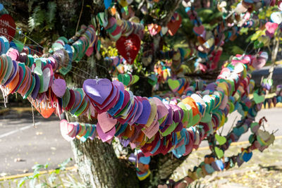 High angle view of multi colored hearts hanging on tree