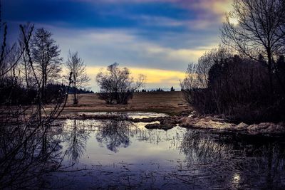 Reflection of trees in lake against sky during sunset