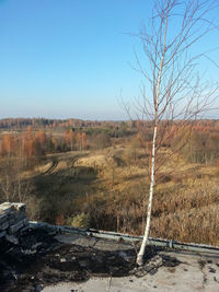 Scenic view of field against clear sky