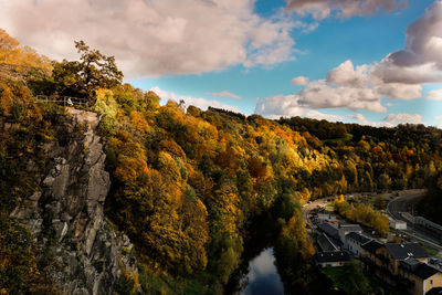 Scenic view of trees against sky during autumn
