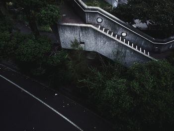 Trees in a row