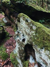 Stream flowing through rocks in forest