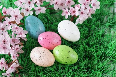 High angle view of easter eggs on grassy field