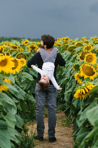 A father holds his little son on his shoulders and has fun with him in a field with sunflowers