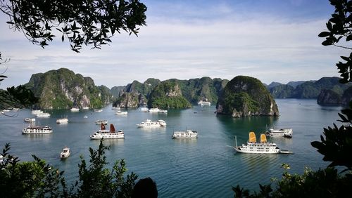 Boats on sea by trees against sky