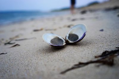 Close-up of sand on beach