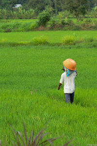 Rear view of boy standing in farm