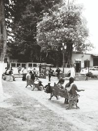 People sitting in park