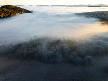 Scenic aerial view of foggy forest against sky at sunrise