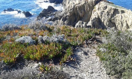 Scenic view of sea against mountain