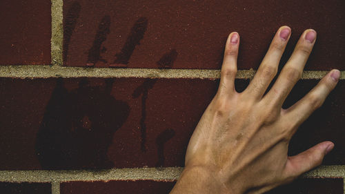 Close-up of human hand