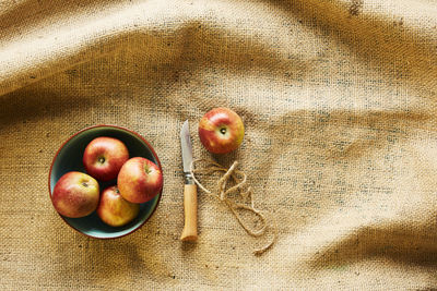 High angle view of apples on table