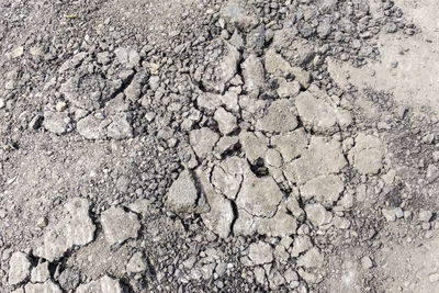 Close-up of cracked land