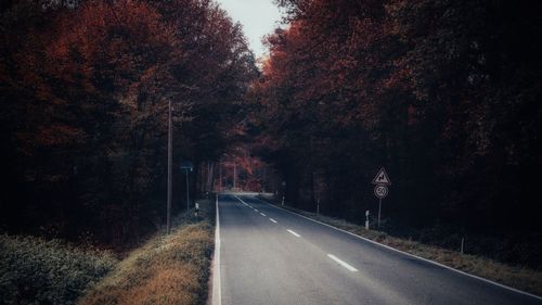 Empty road along trees