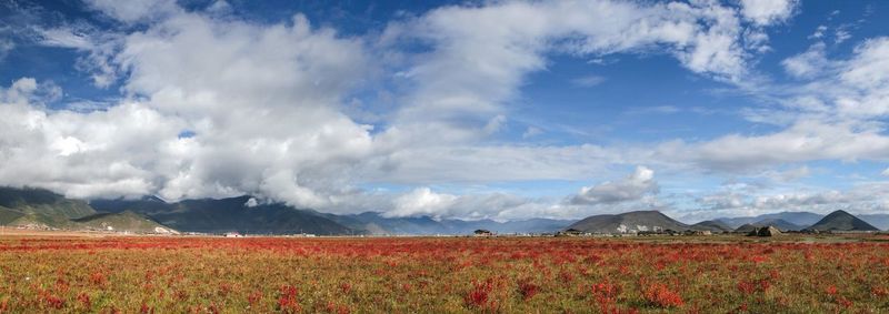 Scenic view of landscape against clear sky