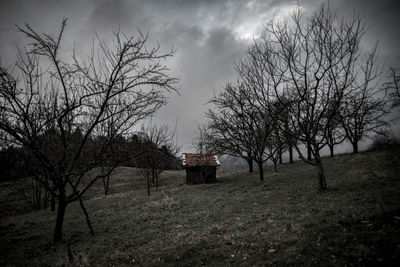 Bare trees against sky