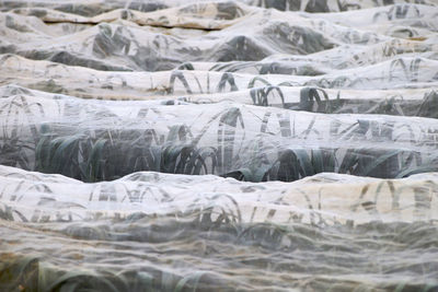 Full frame shot of frozen landscape