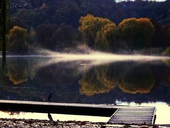 Reflection of trees in lake