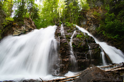 Scenic view of waterfall in forest