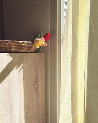 Close-up of potted plant hanging on window at home