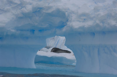 Iceberg in calm sea against rocks