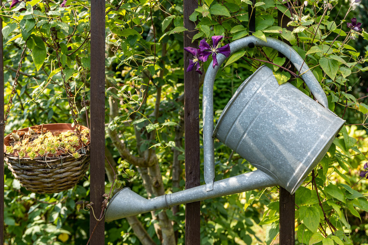 CLOSE-UP OF WICKER BASKET HANGING FROM TREE