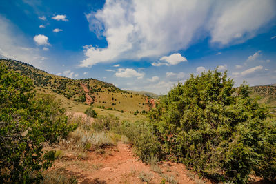 Scenic view of landscape against sky